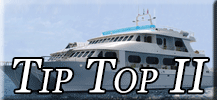 Tip Top II